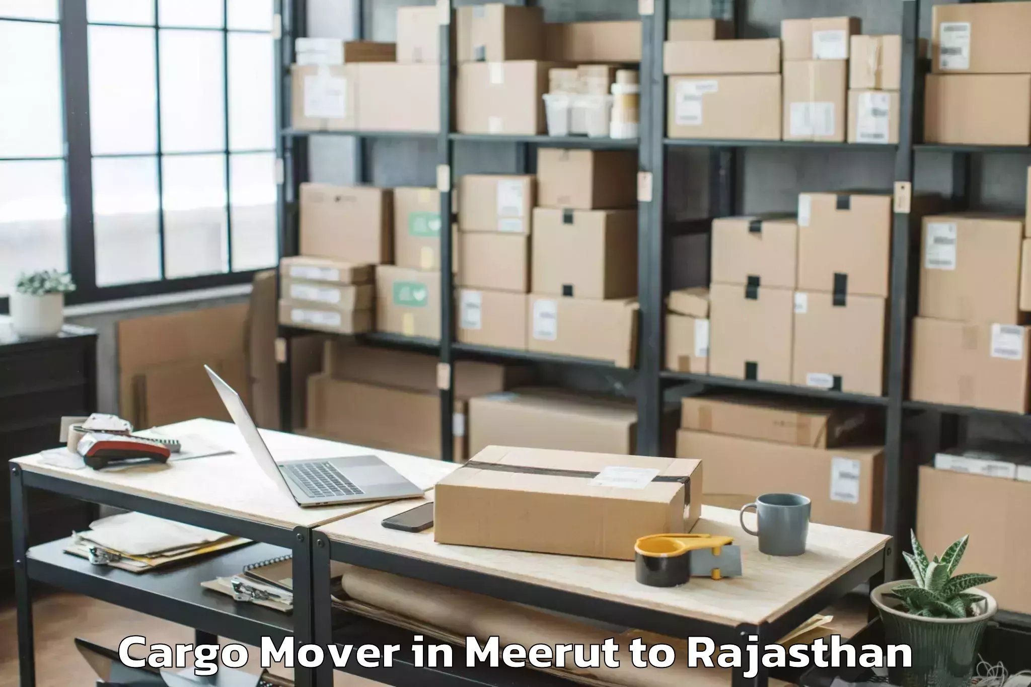 Hassle-Free Meerut to Mewar University Chittorgarh Cargo Mover